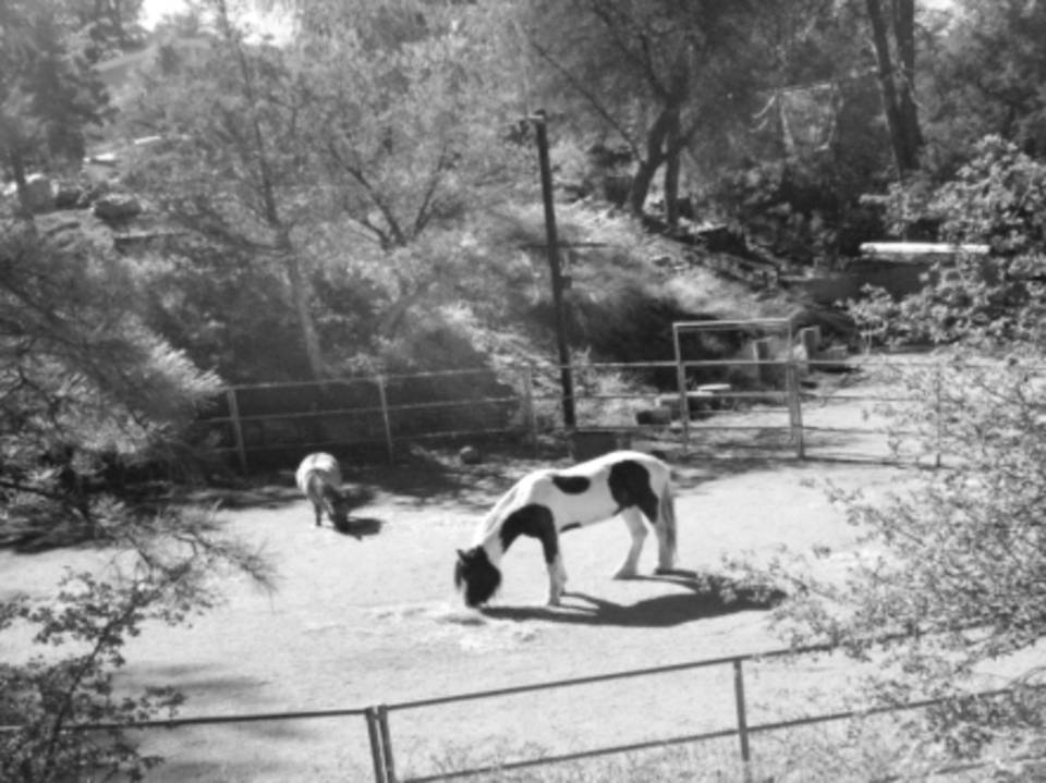 Homes For Sale Real Estate Payson Roundup / Classifieds / Today's